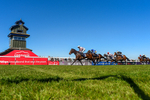 Race 3 portfolio