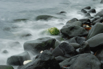 Antrim coast