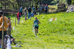 The Finish-898