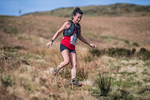 Black Combe-997