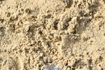 251004A-105056-00445