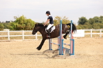 SBM_001193