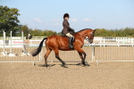 SBM_02232