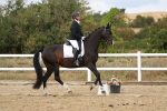 SBM_011890