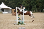 Section A PC70 Rider 2001 to 2015 portfolio