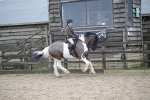 SBM_007980