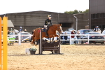 SBM_002203