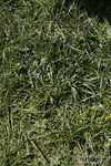 PtP 260317 144