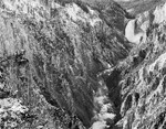 1142 - Lower Falls - Yellowstone River
