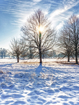 Wimpole Hall 16Dec22-7-Edit-2