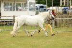 SBM_04174
