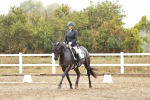 SBM_003979