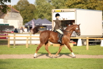 SBM_54296