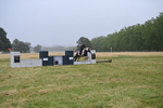WJ6_0530