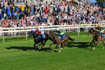 240726-Race 2-Vaguely Royal-0230