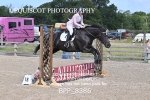 BPP_8386