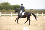 SBM_020303