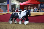 SBM_14896