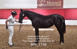 BPP_1738