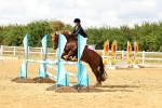SBM_002648