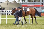 BPP_0659