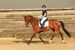 SBM_000533