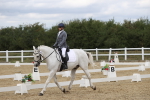 SBM_003766