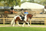 SBM_68190