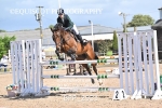 BPP_2931