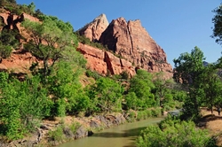 Zion National Park portfolio