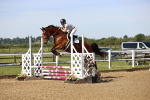 SBM_003470_Class 8 - Clear Round