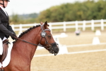 SBM_002735
