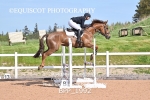 BPP_1992