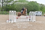 BPP_9547