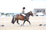 SBM_15756