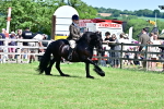 SBM_07998