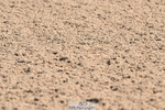 240509A-100751-00778