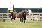 SBM_09072