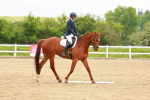 SBM_005638
