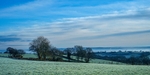 Rural Panorama