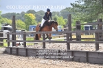BPP_1687