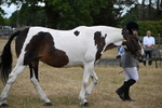 WJ6_8276