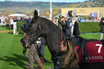 241025-Race 3-Torquay Road-2920