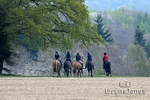 Chiltern Fun Ride - Christmas Tree Barn 13-04-25 portfolio