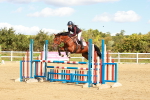 SBM_000833