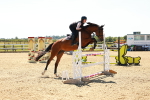 SBM_006930