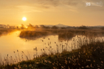 Avalon Marshes sunrise