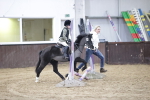 SBM_002933