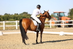 SBM_007799
