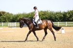 SBM_007501